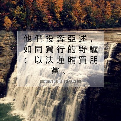 Picture 07 - 何 西 阿 書 8:9 CUVT - 他 們 投 奔 亞 述 ， 如 同 獨 行 的 - Bible Verse Picture