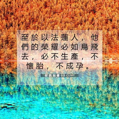 Picture 07 - 何 西 阿 書 9:11 CUVT - 至 於 以 法 蓮 人 ， 他 們 的 榮 耀 - Bible Verse Picture