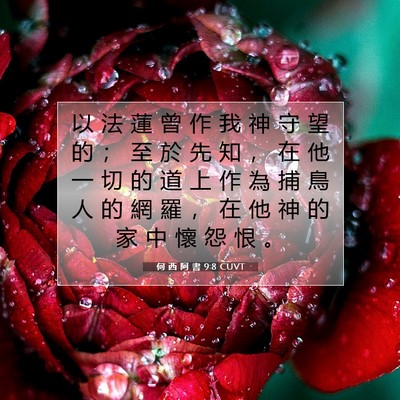 Picture 07 - 何 西 阿 書 9:8 CUVT - 以 法 蓮 曾 作 我 神 守 望 的 ； 至 - Bible Verse Picture