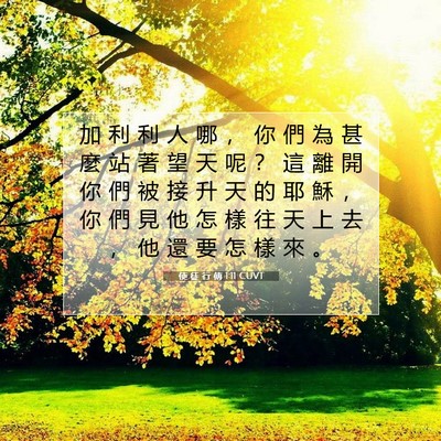 Picture 07 - 使 徒 行 傳 1:11 CUVT - 加 利 利 人 哪 ， 你 們 為 甚 麼 站 - Bible Verse Picture