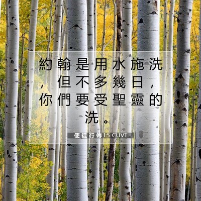 Picture 07 - 使 徒 行 傳 1:5 CUVT - 約 翰 是 用 水 施 洗 ， 但 不 多 幾 - Bible Verse Picture