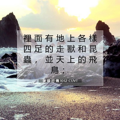 Picture 07 - 使 徒 行 傳 10:12 CUVT - 裡 面 有 地 上 各 樣 四 足 的 走 獸 - Bible Verse Picture