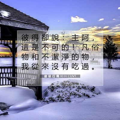 Picture 07 - 使 徒 行 傳 10:14 CUVT - 彼 得 卻 說 ： 主 阿 ， 這 是 不 可 - Bible Verse Picture
