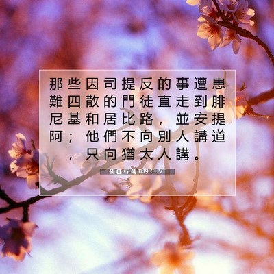 Picture 07 - 使 徒 行 傳 11:19 CUVT - 那 些 因 司 提 反 的 事 遭 患 難 四 - Bible Verse Picture