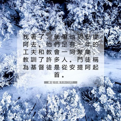 Picture 07 - 使 徒 行 傳 11:26 CUVT - 找 著 了 ， 就 帶 他 到 安 提 阿 去 - Bible Verse Picture