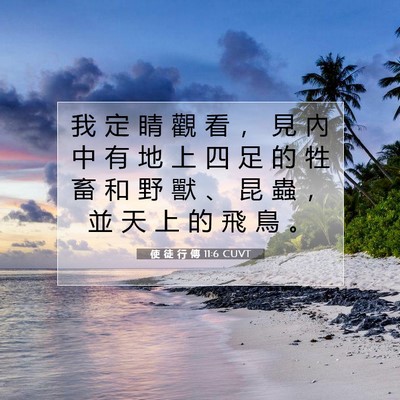 Picture 07 - 使 徒 行 傳 11:6 CUVT - 我 定 睛 觀 看 ， 見 內 中 有 地 上 - Bible Verse Picture