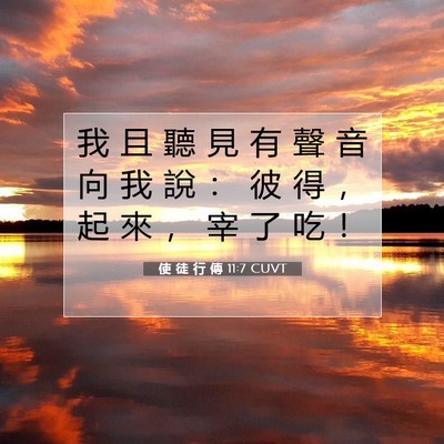 Picture 07 - 使 徒 行 傳 11:7 CUVT - 我 且 聽 見 有 聲 音 向 我 說 ： 彼 - Bible Verse Picture
