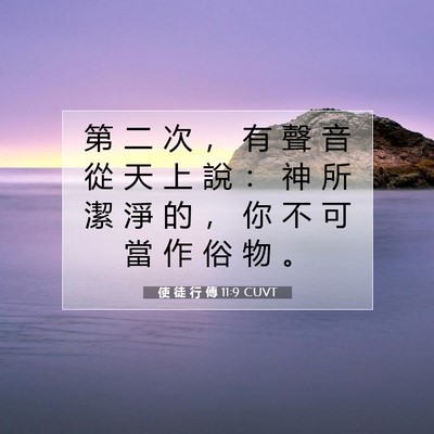 Picture 07 - 使 徒 行 傳 11:9 CUVT - 第 二 次 ， 有 聲 音 從 天 上 說 ： - Bible Verse Picture
