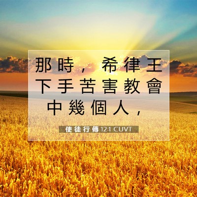 Picture 07 - 使 徒 行 傳 12:1 CUVT - 那 時 ， 希 律 王 下 手 苦 害 教 會 - Bible Verse Picture