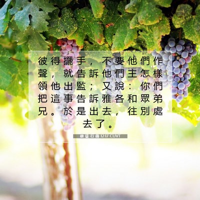 Picture 07 - 使 徒 行 傳 12:17 CUVT - 彼 得 擺 手 ， 不 要 他 們 作 聲 ， - Bible Verse Picture
