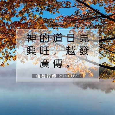Picture 07 - 使 徒 行 傳 12:24 CUVT - 神 的 道 日 見 興 旺 ， 越 發 廣 傳 - Bible Verse Picture