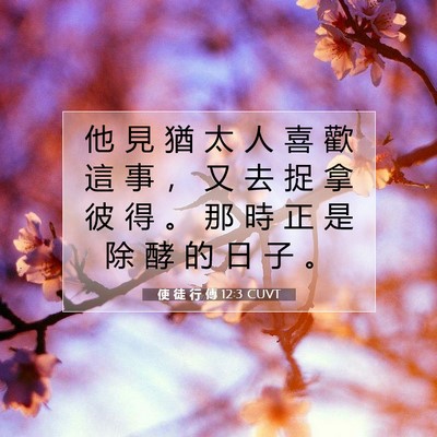 Picture 07 - 使 徒 行 傳 12:3 CUVT - 他 見 猶 太 人 喜 歡 這 事 ， 又 去 - Bible Verse Picture