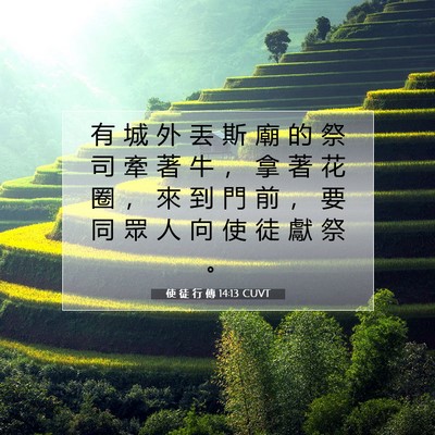 Picture 07 - 使 徒 行 傳 14:13 CUVT - 有 城 外 丟 斯 廟 的 祭 司 牽 著 牛 - Bible Verse Picture