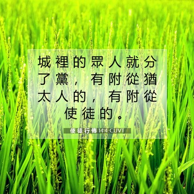 Picture 07 - 使 徒 行 傳 14:4 CUVT - 城 裡 的 眾 人 就 分 了 黨 ， 有 附 - Bible Verse Picture