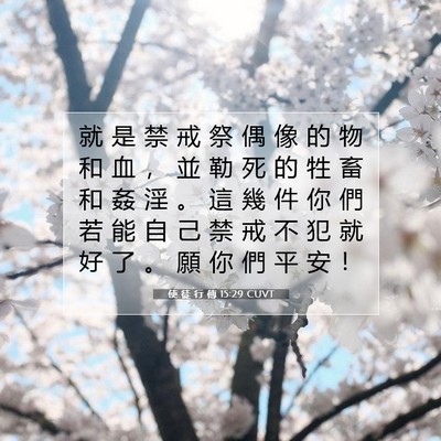 Picture 07 - 使 徒 行 傳 15:29 CUVT - 就 是 禁 戒 祭 偶 像 的 物 和 血 ， - Bible Verse Picture