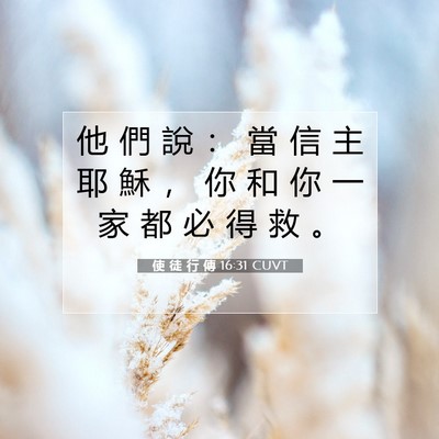 Picture 07 - 使 徒 行 傳 16:31 CUVT - 他 們 說 ： 當 信 主 耶 穌 ， 你 和 - Bible Verse Picture