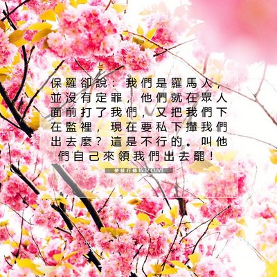 Picture 07 - 使 徒 行 傳 16:37 CUVT - 保 羅 卻 說 ： 我 們 是 羅 馬 人 ， - Bible Verse Picture
