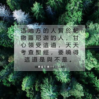 Picture 07 - 使 徒 行 傳 17:11 CUVT - 這 地 方 的 人 賢 於 帖 撒 羅 尼 迦 - Bible Verse Picture