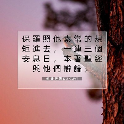 Picture 07 - 使 徒 行 傳 17:2 CUVT - 保 羅 照 他 素 常 的 規 矩 進 去 ， - Bible Verse Picture
