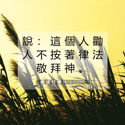 Picture 07 - 使 徒 行 傳 18:13 CUVT - 說 ： 這 個 人 勸 人 不 按 著 律 法 - Bible Verse Picture