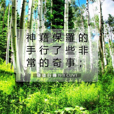 Picture 07 - 使 徒 行 傳 19:11 CUVT - 神 藉 保 羅 的 手 行 了 些 非 常 的 - Bible Verse Picture