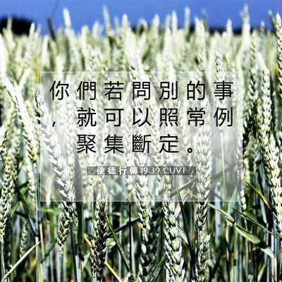 Picture 07 - 使 徒 行 傳 19:39 CUVT - 你 們 若 問 別 的 事 ， 就 可 以 照 - Bible Verse Picture