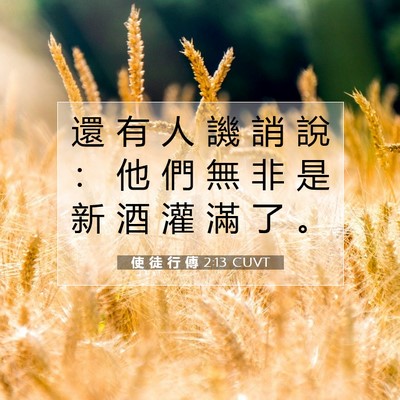Picture 07 - 使 徒 行 傳 2:13 CUVT - 還 有 人 譏 誚 說 ： 他 們 無 非 是 - Bible Verse Picture