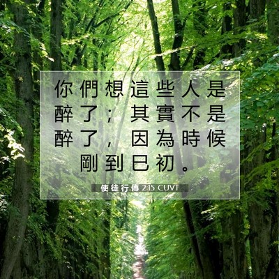 Picture 07 - 使 徒 行 傳 2:15 CUVT - 你 們 想 這 些 人 是 醉 了 ； 其 實 - Bible Verse Picture