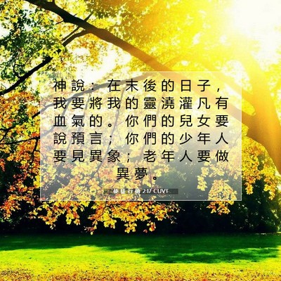 Picture 07 - 使 徒 行 傳 2:17 CUVT - 神 說 ： 在 末 後 的 日 子 ， 我 要 - Bible Verse Picture