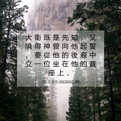 Picture 07 - 使 徒 行 傳 2:30 CUVT - 大 衛 既 是 先 知 ， 又 曉 得 神 曾 - Bible Verse Picture