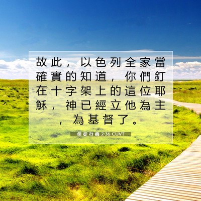 Picture 07 - 使 徒 行 傳 2:36 CUVT - 故 此 ， 以 色 列 全 家 當 確 實 的 - Bible Verse Picture