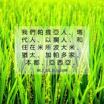 Picture 07 - 使 徒 行 傳 2:9 CUVT - 我 們 帕 提 亞 人 、 瑪 代 人 、 以 - Bible Verse Picture