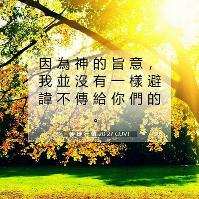 Picture 07 - 使 徒 行 傳 20:27 CUVT - 因 為 神 的 旨 意 ， 我 並 沒 有 一 - Bible Verse Picture