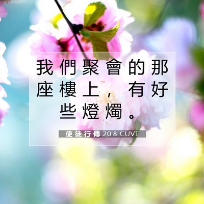 Picture 07 - 使 徒 行 傳 20:8 CUVT - 我 們 聚 會 的 那 座 樓 上 ， 有 好 - Bible Verse Picture