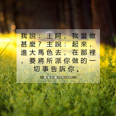 Picture 07 - 使 徒 行 傳 22:10 CUVT - 我 說 ： 主 阿 ， 我 當 做 甚 麼 ？ - Bible Verse Picture