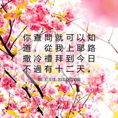 Picture 07 - 使 徒 行 傳 24:11 CUVT - 你 查 問 就 可 以 知 道 ， 從 我 上 - Bible Verse Picture