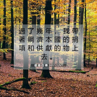 Picture 07 - 使 徒 行 傳 24:17 CUVT - 過 了 幾 年 ， 我 帶 著 賙 濟 本 國 - Bible Verse Picture