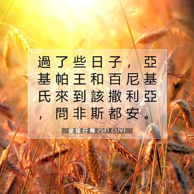 Picture 07 - 使 徒 行 傳 25:13 CUVT - 過 了 些 日 子 ， 亞 基 帕 王 和 百 - Bible Verse Picture