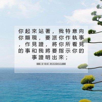 Picture 07 - 使 徒 行 傳 26:16 CUVT - 你 起 來 站 著 ， 我 特 意 向 你 顯 - Bible Verse Picture