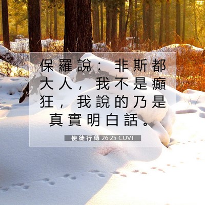 Picture 07 - 使 徒 行 傳 26:25 CUVT - 保 羅 說 ： 非 斯 都 大 人 ， 我 不 - Bible Verse Picture
