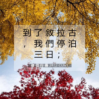 Picture 07 - 使 徒 行 傳 28:12 CUVT - 到 了 敘 拉 古 ， 我 們 停 泊 三 日 - Bible Verse Picture