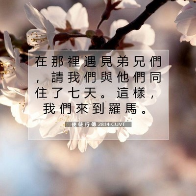 Picture 07 - 使 徒 行 傳 28:14 CUVT - 在 那 裡 遇 見 弟 兄 們 ， 請 我 們 - Bible Verse Picture