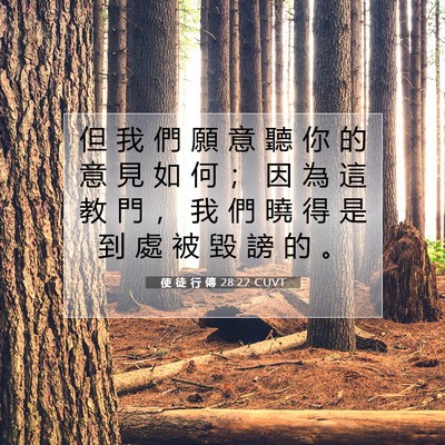 Picture 07 - 使 徒 行 傳 28:22 CUVT - 但 我 們 願 意 聽 你 的 意 見 如 何 - Bible Verse Picture