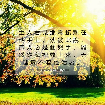 Picture 07 - 使 徒 行 傳 28:4 CUVT - 土 人 看 見 那 毒 蛇 懸 在 他 手 上 - Bible Verse Picture