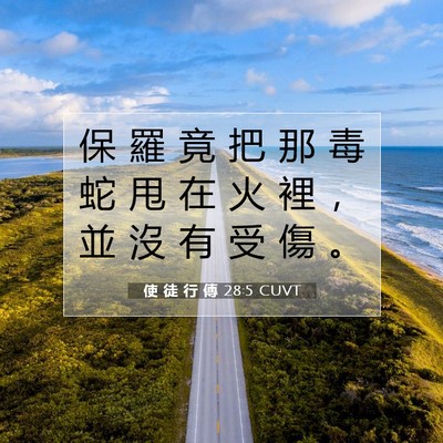 Picture 07 - 使 徒 行 傳 28:5 CUVT - 保 羅 竟 把 那 毒 蛇 甩 在 火 裡 ， - Bible Verse Picture