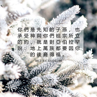 Picture 07 - 使 徒 行 傳 3:25 CUVT - 你 們 是 先 知 的 子 孫 ， 也 承 受 - Bible Verse Picture
