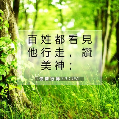 Picture 07 - 使 徒 行 傳 3:9 CUVT - 百 姓 都 看 見 他 行 走 ， 讚 美 神 - Bible Verse Picture