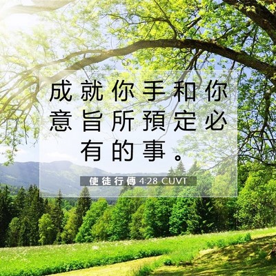 Picture 07 - 使 徒 行 傳 4:28 CUVT - 成 就 你 手 和 你 意 旨 所 預 定 必 - Bible Verse Picture