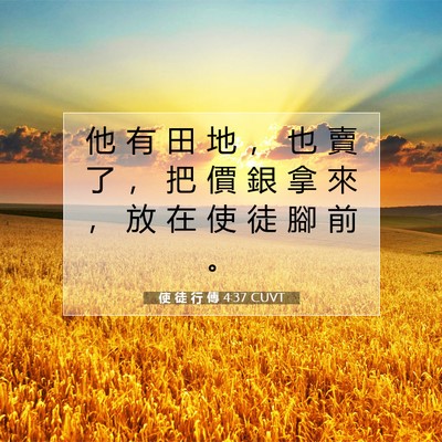 Picture 07 - 使 徒 行 傳 4:37 CUVT - 他 有 田 地 ， 也 賣 了 ， 把 價 銀 - Bible Verse Picture