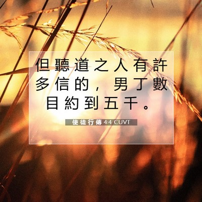 Picture 07 - 使 徒 行 傳 4:4 CUVT - 但 聽 道 之 人 有 許 多 信 的 ， 男 - Bible Verse Picture